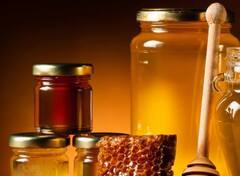 ઠંડીમાં લસણ અને મધના સેવનથી થાય છે આ ગજબના ફાયદાઓ, જાણો તેના વિશે