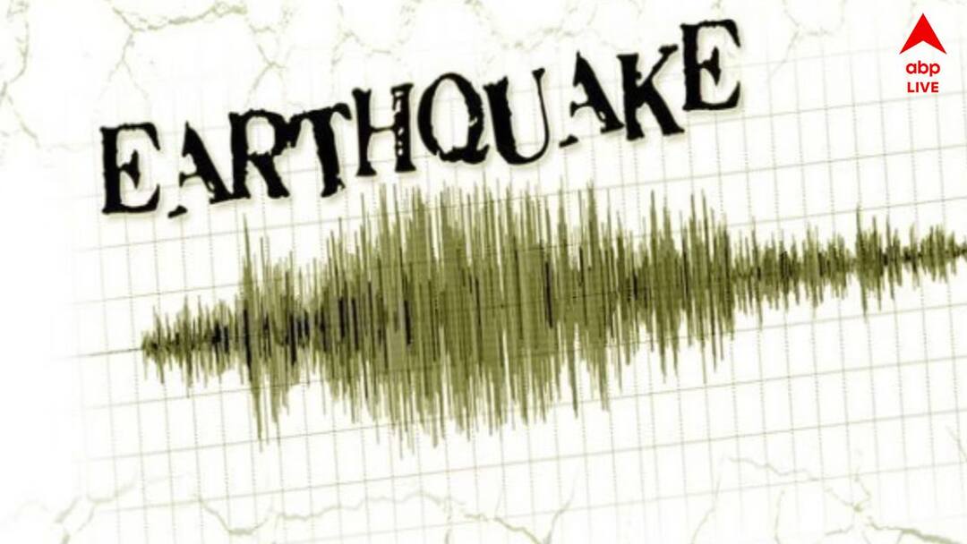 Deadly Earthquake hits Vanuatu 14 Lives already Lost several people Missing Hundreds Injured significant damage across the South Pacific island nation Vanuatu Earthquake : উথলে উঠল স্যুইমিং পুলের জল, আতঙ্কে ছোটাছুটি মানুষের; তীব্র ভূমিকম্পে ১৪ জনের প্রাণহানি; আরও মৃত্যুর আশঙ্কা এই দেশে