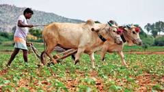 किसानों को सरकार की बड़ी सौगात, सिर्फ 5 रुपये में मिलेगा पंप कनेक्शन