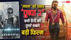 हिंदी बेल्ट में 'पुष्पा 2' ने 'जवान' को चटाई धूल,  600 करोड़ से इंचभर है दूर