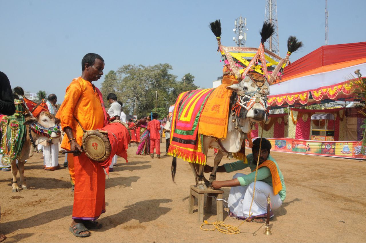 Sankranti 2024: పెద్ద పండగకు మోగిన నెలగంట- పల్లెల్లో సందడి చేస్తున్న హరిదాసులు, బుడజంగాలు