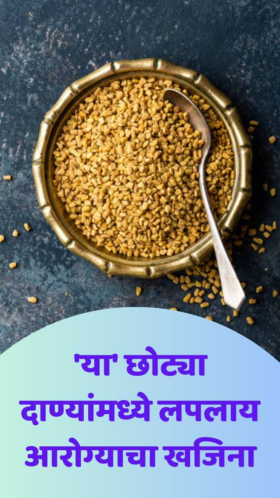 'या' छोट्या दाण्यांमध्ये लपलाय आरोग्याचा खजिना