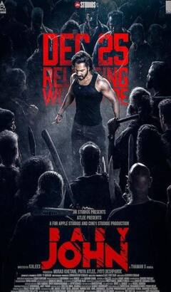 Baby John Star Cast Fees: सलमान ने फ्री में किया कैमियो, वरुण धवन ने वसूली सबसे मोटी रकम, जानें- कीर्ति सुरेश सहित बाकी स्टार्स की फीस