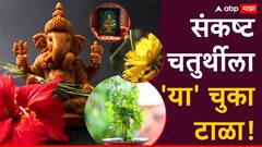 Sankasht Chaturthi 2024 : संकष्ट चतुर्थीला 'या' चुका चुकूनही करु नका; बाप्पा होतील नाराज