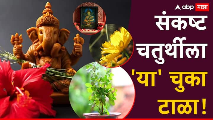 Sankasht Chaturthi 2024 : हिंदू धर्मात संकष्ट चतुर्थीच्या व्रताला विशेष महत्त्व देण्यात आलं आहे. त्यानुसार, प्रत्येक महिन्याच्या कृष्ण आणि शुक्ल पक्षातील चतुर्थी तिथीला संकष्ट चतुर्थी साजरी करतात.