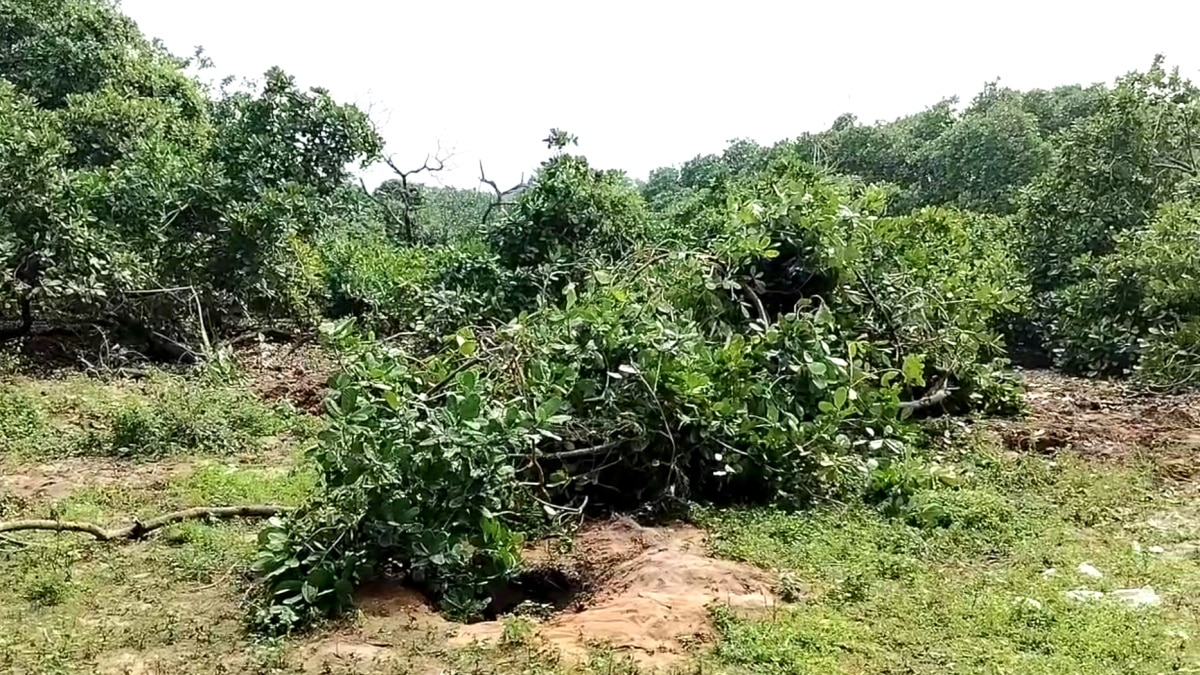 சமத்துவபுரம் அமைக்க கிராம மக்கள் எதிர்ப்பு - காரணம் இதுதான்...!