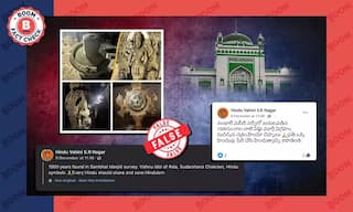 સંભલમાં મસ્જિદ સર્વે દરમિયાન મળેલી મૂર્તિઓના દાવાથી અસંબંધિત તસવીરો વાયરલ