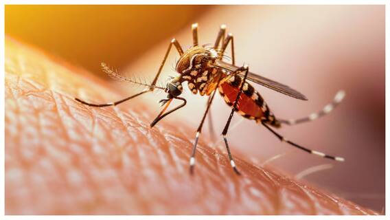 Zika Virus In Andhra Pradesh: ఆంధ్రప్రదేశ్‌లో జికా వైరస్‌ కలకలం- నెల్లూరు బాలుడికి వ్యాధి లక్షణాలు!