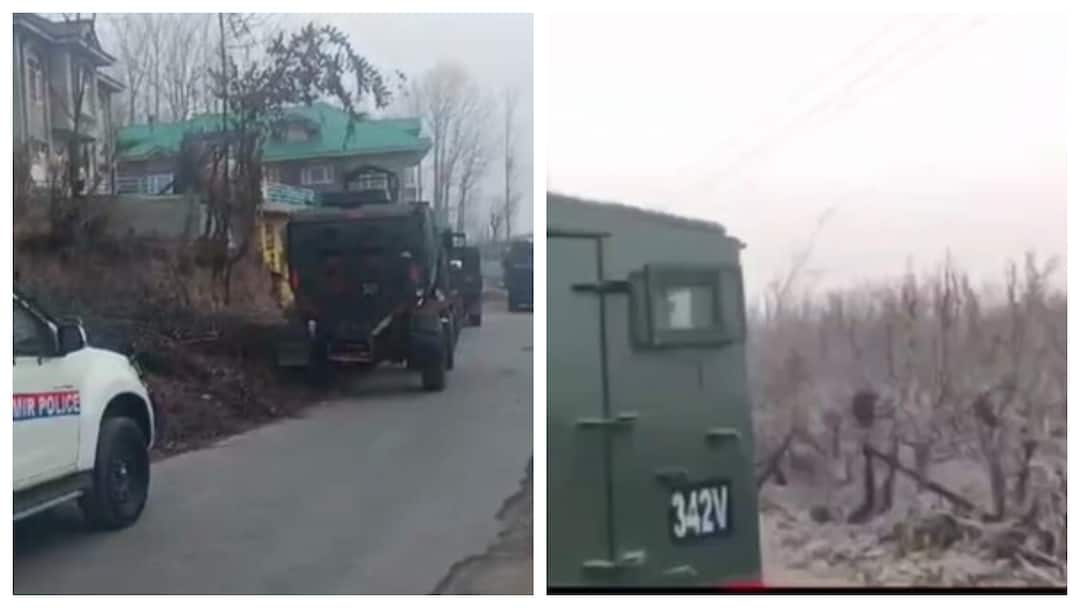 Army kills five terrorists in encounter at Kulgam in Jammu and Kashmir Jammu And Kashmir Encounter: జమ్మూకశ్మీర్‌లోని కుల్గామ్‌లో ఎన్‌కౌంటర్‌, ఐదుగురు ఉగ్రవాదులను హతమార్చిన సైన్యం  