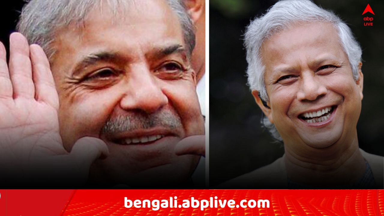 Yunus -Pakistan PM Meet: আরও কাছাকাছি পাকিস্তান-বাংলাদেশ ! পাকিস্তানের প্রধানমন্ত্রীর সঙ্গে বাংলাদেশের ইউনূসের বৈঠক