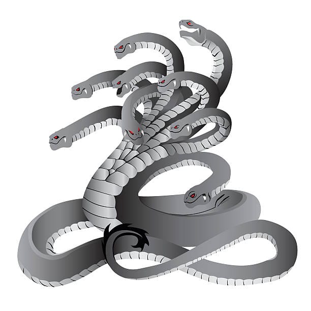 स्वप्नात साप पाहणे शुभ मानले जाते, पण स्वप्नात वारंवार साप दिसणे, अत्यंत अशुभ मानले जाते. मग तो साप कोणताही रंगाचा असो, वारंवार दिसल्यास अशुभ मानलं जातं. (Image Source - istock)