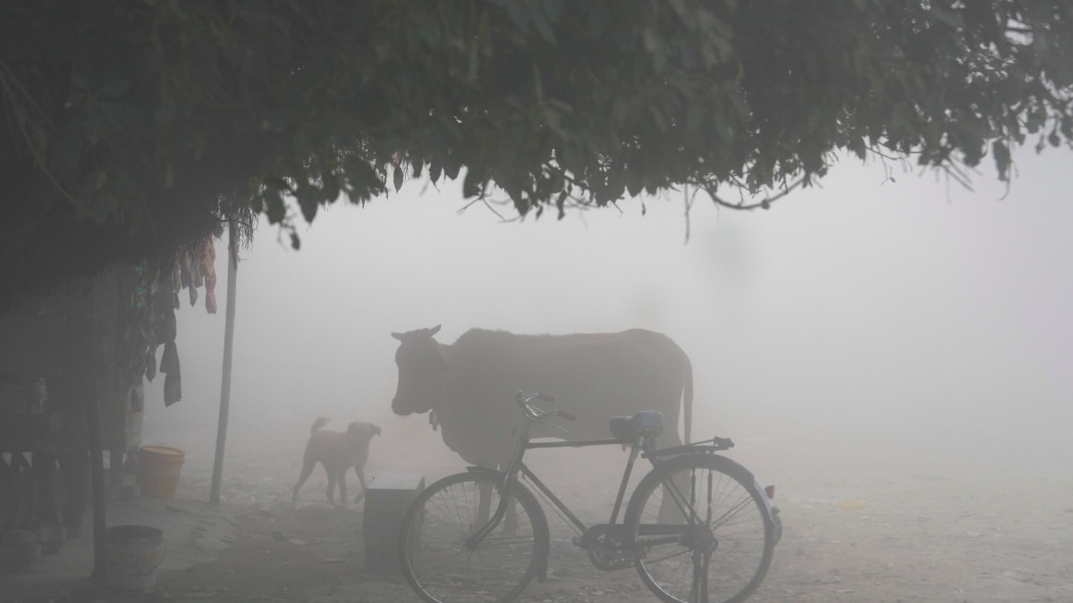 Fog, Smog Or Vog: How Are These Different Even Though They Look Same?