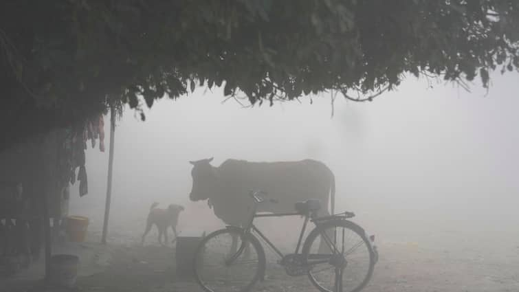 Fog, Smog Or Vog: How Are These Different Even Though They Look Same?