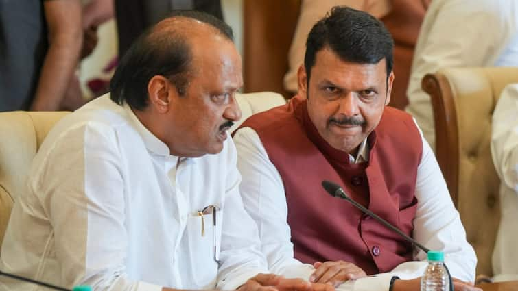 'You Will Be Chief Minister Someday': Fadnavis Tells His Deputy Ajit Pawar, Shares 24-Hour Work Plan