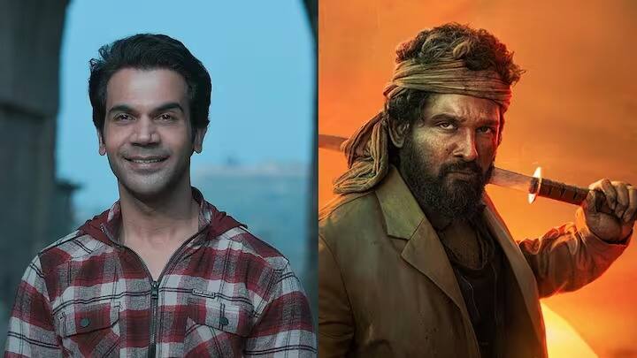 पुष्पा 2 ची छप्पडफाड कमाई पाहून तुम्हाला आश्चर्य वाटत असेल , तर थांबा या वर्षी पुष्पा 2 पेक्षा जास्त बजेट असलेल्या हॉलिवूड सीरिजमध्ये काम करून जगभरात ओळख मिळवणाऱ्या एका बॉलिवूड अभिनेत्रीबाबत ऐकून तुम्ही थक्क व्हाल.