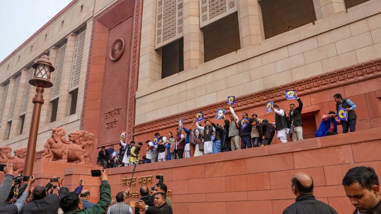 Lok Sabha Speaker Bans Protests At Parliament Gates Amid Scuffle