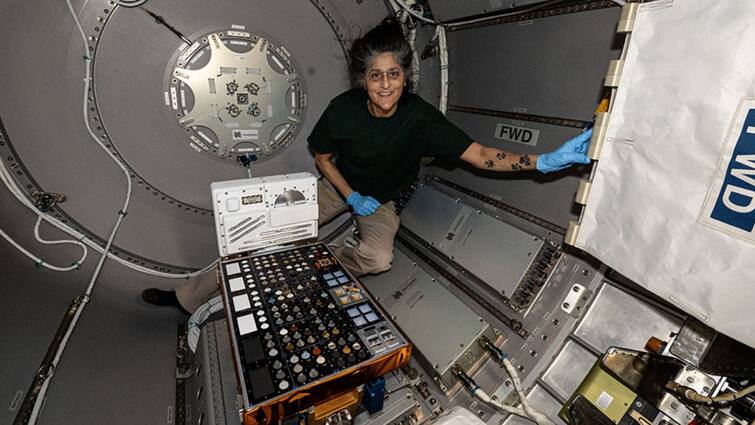 Explained Why NASA Delayed Sunita Williams Return From ISS Space Station Sunita Williams: சிக்கித்தவிக்கும் சுனிதா வில்லியம்ஸ்?  பிப்ரவரியில் பூமி திரும்பமாட்டார்;  புதிய சிக்கல் என்ன?