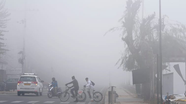 Fog Reduces Visibility In Delhi On Christmas; Trains Delayed, Airport Issues Travel Advisory