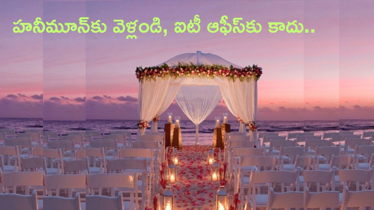 Costly Weddings: పెళ్లైన తర్వాత హనీమూన్‌కు వెళ్తారా, ఇన్‌కమ్‌ టాక్స్‌ ఆఫీస్‌కు వెళ్తారా? నిర్ణయం మీ చేతుల్లోనే