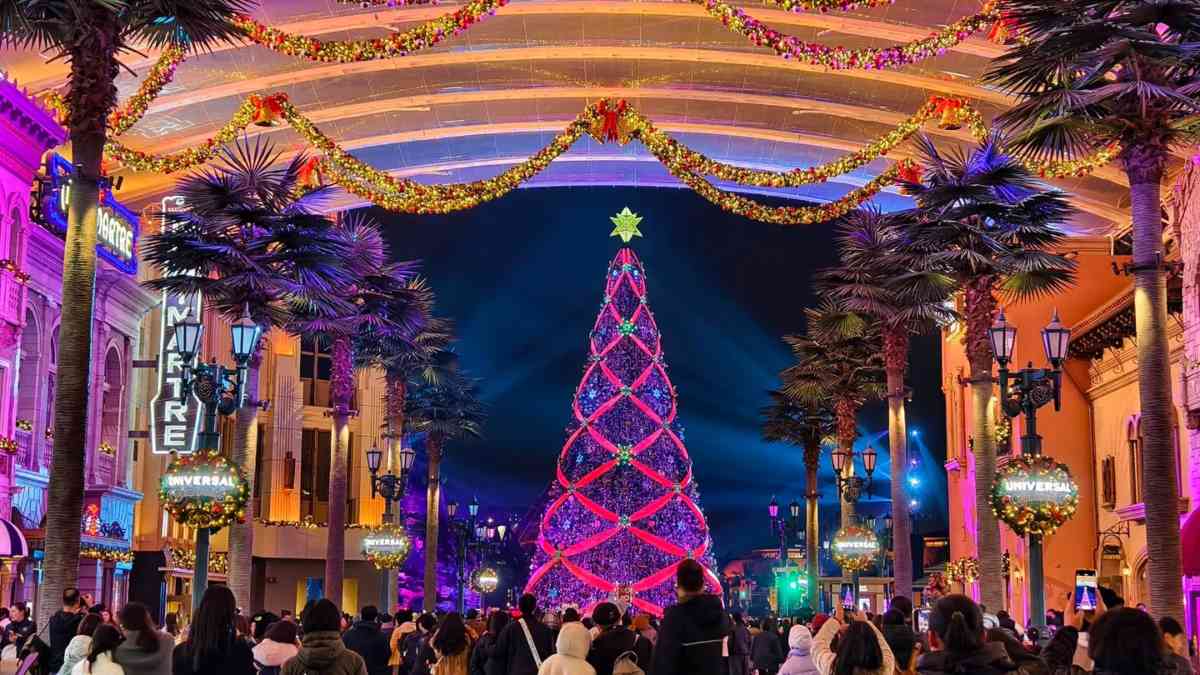 Christmas Trees : ఈ క్రిస్మస్ ట్రీస్ వెరీ స్పెషల్.. వెరీ ఐకానిక్.. అతిపెద్ద, అందమైన క్రిస్మస్ చెట్లు ఇవే