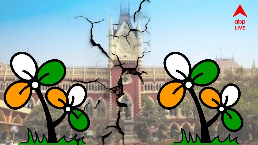 Sandeshkhali TMC : ফের শিরোনামে সন্দেশখালি, তৃণমূলের বিরুদ্ধে অত্যাচারের অভিযোগ তুলে হাইকোর্টে তৃণমূল! TMC Youth Leader Moves To Court Against TMC Leader Of Sandeshkhali Sandeshkhali TMC : ফের শিরোনামে সন্দেশখালি, তৃণমূলের বিরুদ্ধে অত্যাচারের অভিযোগ তুলে হাইকোর্টে তৃণমূল!