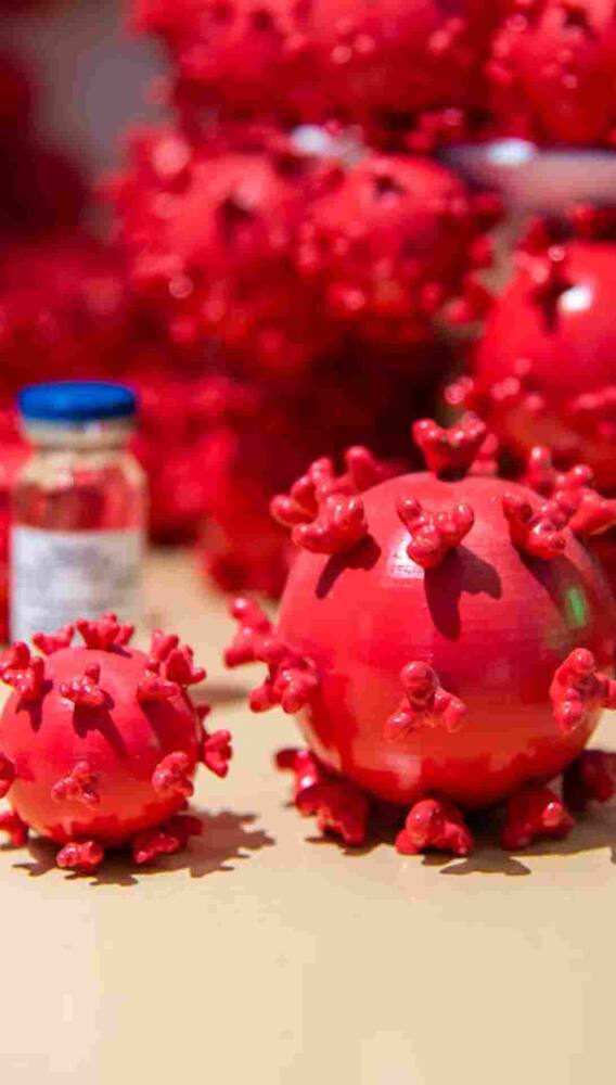 क्या है डिंगा डिंगा बीमारी?