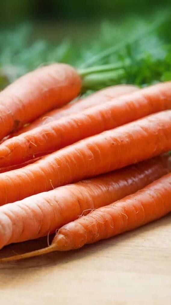 गाजर की खेती के वक्त इन बातों का रखें खास ख्याल