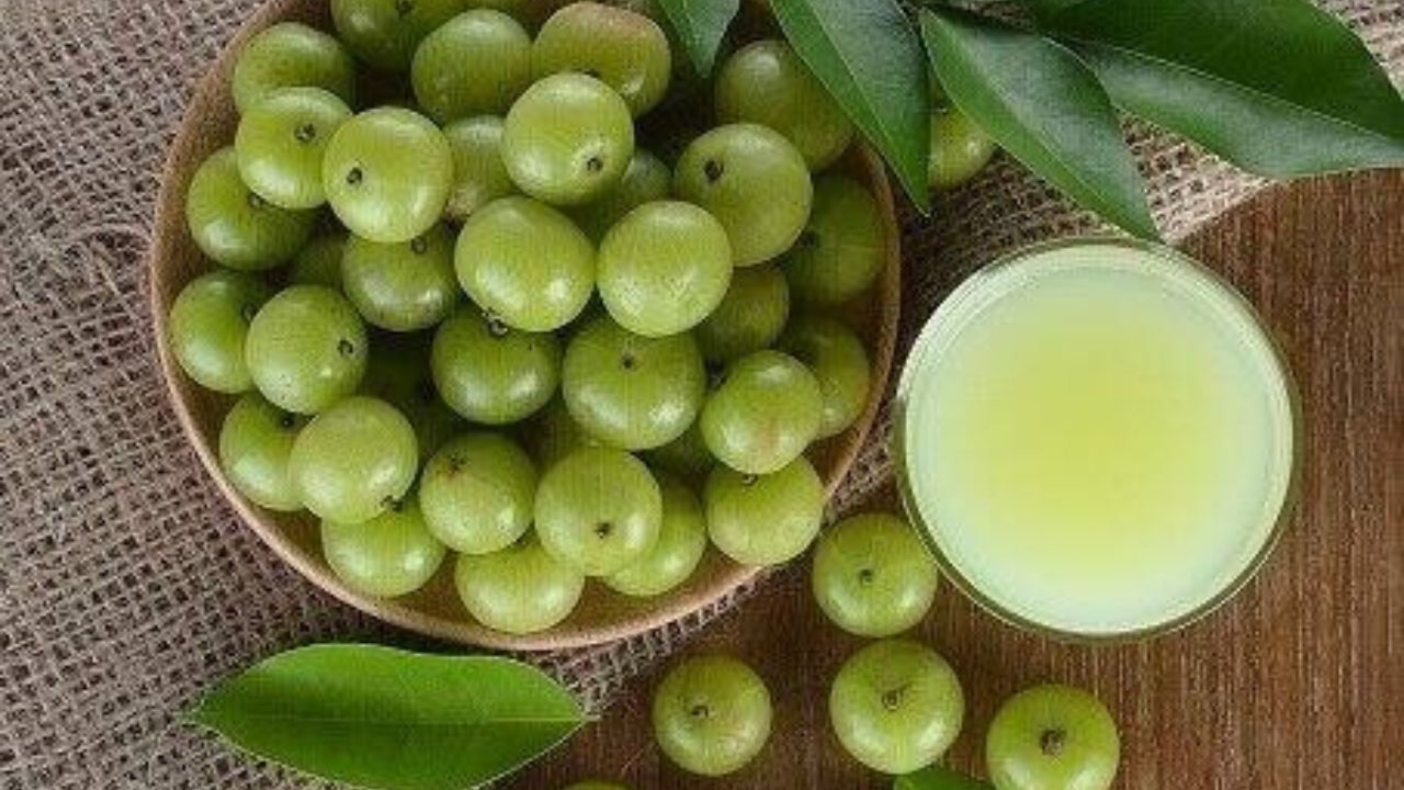 Amla Juice: হার্ট ভাল রাখতে অব্যর্থ দাওয়াই আমলকির রস, নিয়ন্ত্রণে রাখে কোলেস্টেরল, সুস্বাদু করবেন কীভাবে?