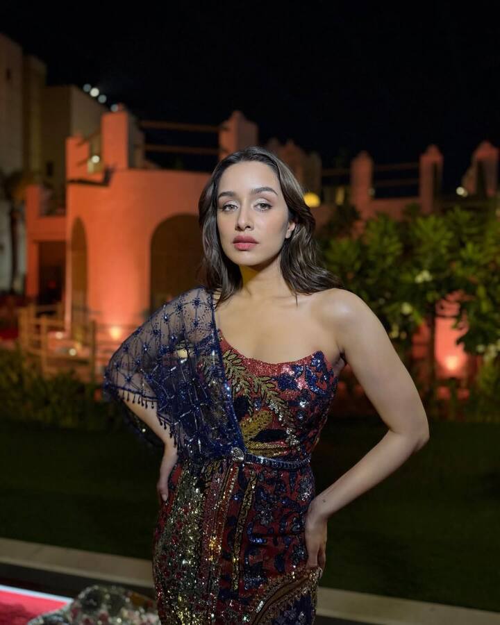 Shraddha Kapoor - The last name in the list is that of Shraddha Kapoor, who gave the blockbuster hit film 'Stree 2' this year. Who is also fans' favorite actress in B-Town.