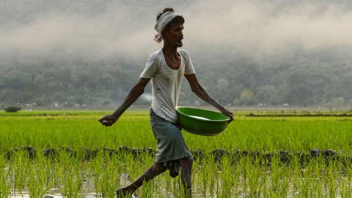 भारत में आज भी 50 प्रतिशत से ज्यादा आबादी खेती किसानी पर जीवन निर्भर करती है. इनमें से कई किसान ऐसे होते हैं. जिनकी खेती से इनकम उतनी ज्यादा नहीं होती. ऐसे किसानों को सरकार की ओर से आर्थिक सहायता दी जाती है.