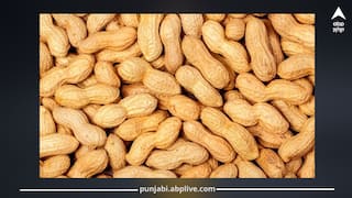 ਕਿੰਨੀ ਮਾਤਰਾ ‘ਚ ਮੂੰਗਫਲੀ ਦਾ ਸੇਵਨ ਕਰਨਾ ਰਹਿੰਦਾ ਸਹੀ? ਜਾਣੋ ਓਵਰਇਟਿੰਗ ਕਰਨ ਦੇ ਨੁਕਸਾਨ