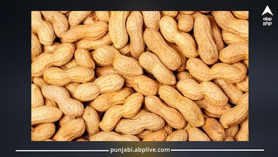 ਕਿੰਨੀ ਮਾਤਰਾ ‘ਚ ਮੂੰਗਫਲੀ ਦਾ ਸੇਵਨ ਕਰਨਾ ਰਹਿੰਦਾ ਸਹੀ? ਜਾਣੋ ਓਵਰਇਟਿੰਗ ਕਰਨ ਦੇ ਨੁਕਸਾਨ