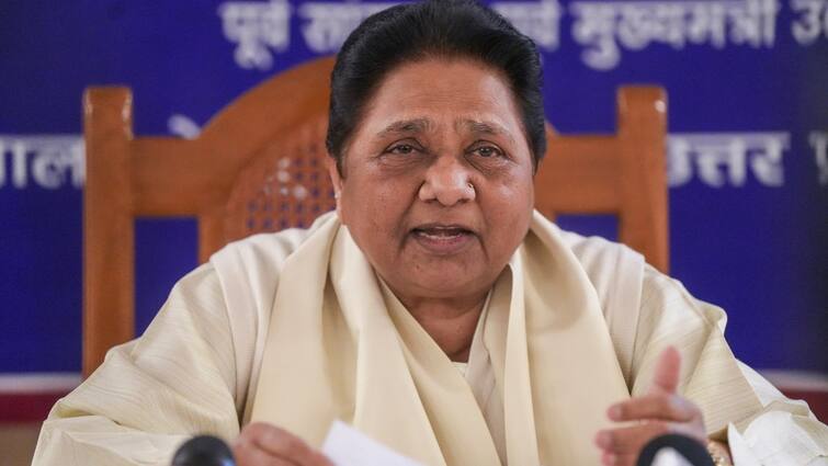 Amit Shah Should Apologise For Remark On Ambedkar Else BSP Will Stage Protest: Mayawati