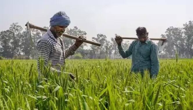 ભારત સરકાર દેશના નાગરિકો માટે ઘણી યોજનાઓ ચલાવે છે. દેશના કરોડો લોકોને આ યોજનાઓનો લાભ મળે છે. સરકાર વિવિધ લોકોની જરૂરિયાતો અનુસાર આ યોજનાઓ લાવે છે.