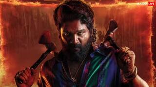 Pushpa 2 Box Office Collection: પુષ્પા 2એ રચ્યો ઇતિહાસ, 1000 કરોડને પાર,2024નો બનાવ્યો સૌથી મોટો રેકોર્ડ