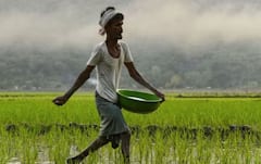 ਅੰਦੋਲਨ ਵਿਚਾਲੇ ਕਿਸਾਨਾਂ ਲਈ ਆਈ ਖੁਸ਼ਖਬਰੀ, ਹੁਣ ਖਾਤਿਆਂ 'ਚ ਆਉਣਗੇ ਪੈਸੇ, ਪਰ ਇਹ ਰਹਿ ਜਾਣਗੇ ਵਾਂਝੇ ?