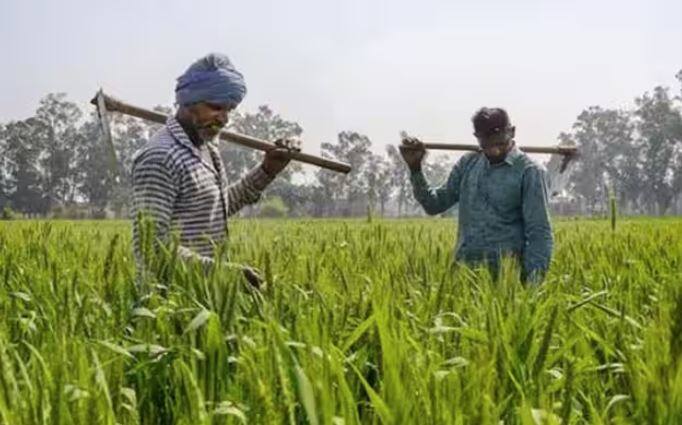 ਸਰਕਾਰ ਵੱਲੋਂ ਇਸ ਸਕੀਮ ਤਹਿਤ ਹੁਣ ਤੱਕ 18 ਕਿਸ਼ਤਾਂ ਜਾਰੀ ਕੀਤੀਆਂ ਜਾ ਚੁੱਕੀਆਂ ਹਨ। ਹੁਣ ਕਿਸਾਨ ਸਕੀਮ ਦੀ 19ਵੀਂ ਕਿਸ਼ਤ ਦੀ ਉਡੀਕ ਕਰ ਰਹੇ ਹਨ। ਤੁਹਾਨੂੰ ਦੱਸ ਦੇਈਏ ਕਿ ਇਸ ਸਕੀਮ ਵਿੱਚ 4 ਮਹੀਨਿਆਂ ਦੇ ਅੰਤਰਾਲ 'ਤੇ ਇੱਕ ਕਿਸ਼ਤ ਭੇਜੀ ਜਾਂਦੀ ਹੈ। ਸਰਕਾਰ ਨੇ ਅਕਤੂਬਰ ਮਹੀਨੇ ਵਿੱਚ 18ਵੀਂ ਕਿਸ਼ਤ ਭੇਜੀ ਸੀ।