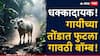 वर्ध्यातील धक्कादायक घटना, गायीच्या तोंडात फुटला गावठी बॉम्ब, जबड्याला गंभीर दुखापत
