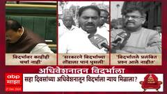 Nagpur Adiveshan | अधिवेशनातून विदर्भाला काय मिळालं? सत्ताधारी-विरोधक आमने-सामने Special Report