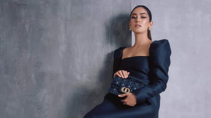 Mira Rajput treated fans with pictures from her latest photoshoot where she sports the Dior cruise collection.