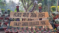 पटना के चिड़ियाघर में टॉय ट्रेन से होगा सफर, दानापुर रेल मंडल से MOU हुआ साइन, जानें कब होगी शुरुआत