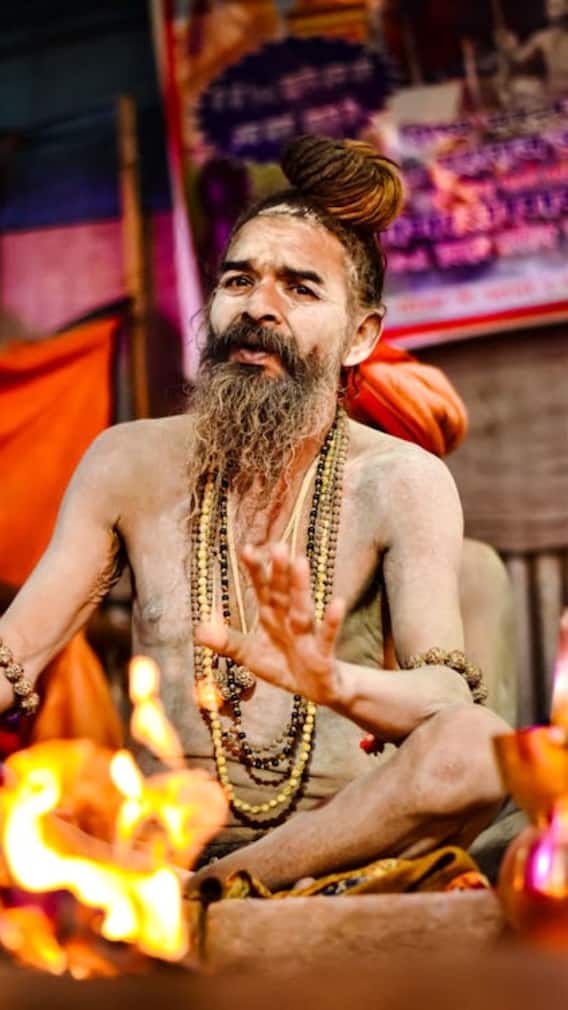 નાગા સાધુ અને બૈરાગી સંન્યાસી વચ્ચે શું તફાવત છે?