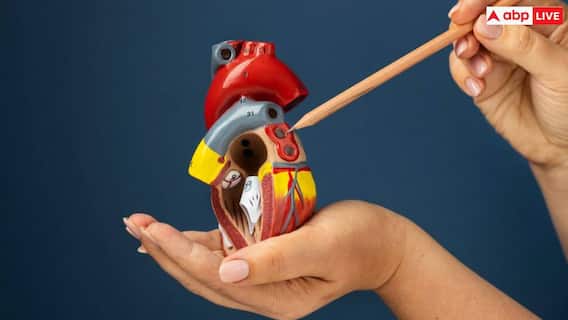 हाई बीपी के कारण  किडनी और दिल से जुड़ी बीमारी का रहता है खतरा? जानें कारण और लक्षण