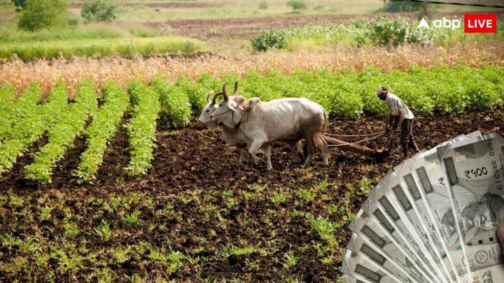 PM Kisan Next Instalment:  किसानों को प्रधानमंत्री किसान सम्मान निधि योजना में 19वीं किस्त का इंतजार है. जानें कब मिलेगी किसानों को अगली किस्त. तो वहीं इन किसानों के अटक सकते हैं पैसे.