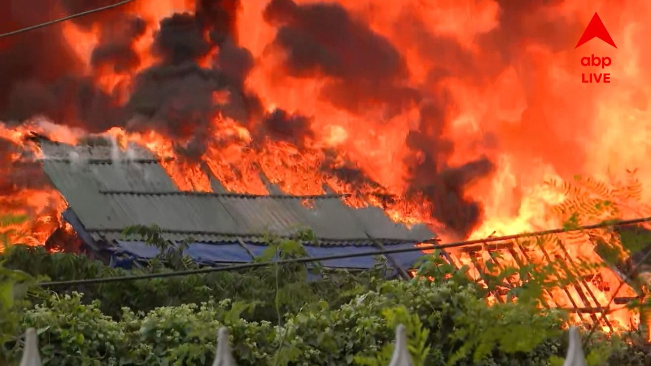 Tapsia Fire: আগুনের গ্রাসে শেষ জীবনের সঞ্চয়, হাহাকার তপসিয়ার মজদুর বস্তিতে