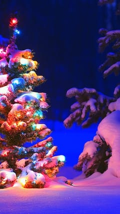 క్రిస్మస్ సెలబ్రేషన్స్​కి ఇండియాలో బెస్ట్​ స్పాట్స్ ఇవే