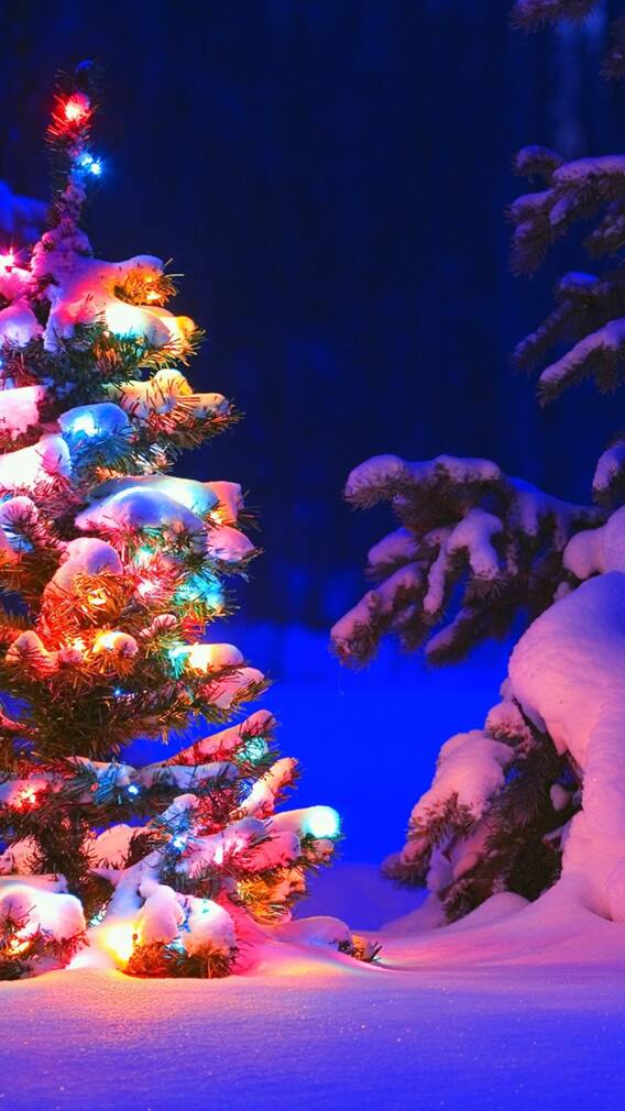 9 Indian Cities To Visit For Christmas Lights And Festivities