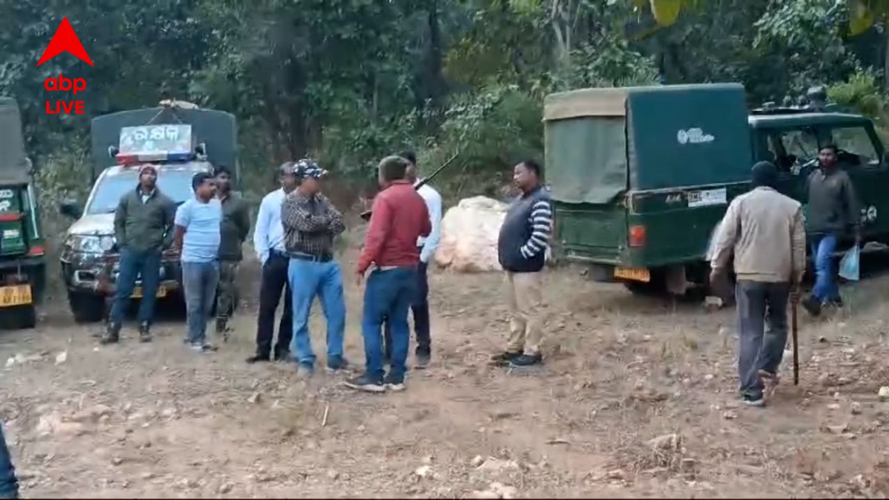 Purulia Tigress Hunt: বাগে আসেনি বাঘিনী, 'যমুনা'-কে ধরতে নাস্তানাবুদ বনদফতর, তল্লাশিতে নেমেছে আধাসেনাও