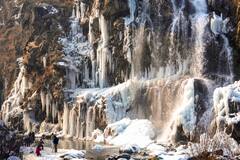 Weather Update: सर्दी ने श्रीनगर में तोड़ा 50 साल का रिकॉर्ड, जानें दिल्ली-NCR और यूपी समेत पूरे उत्तर भारत में कब से पड़ेगी कड़ाके की ठंड