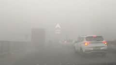 Nashik Fog : नाशिक शहरावर पसरली धुक्याची दाट दुलई, वाहन चालकांची कसरत, पाहा PHOTOS